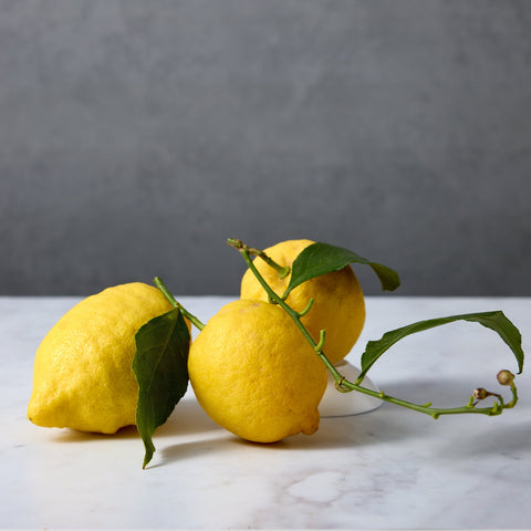 Amalfi Lemons