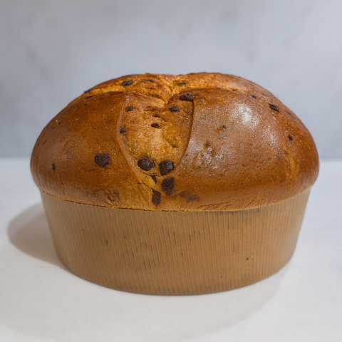 Chocolate Chips Panettone